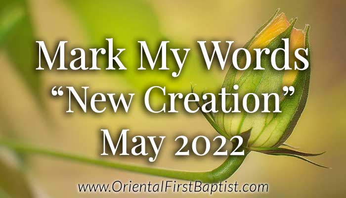 Mark My Words Article - New Creation - May 2022